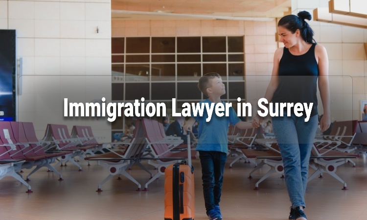 Immigration Lawyer in Surrey